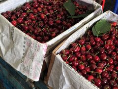 -大连果菜批发市场