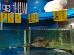 水产区-五稻厨房粤西菜(新闻店)