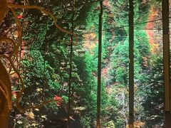 -桂满陇·海市蜃楼·黑金(国金店)