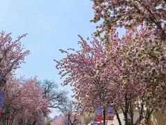 -五大道风景区-常德道孟氏旧居