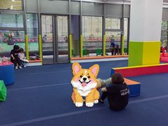 -蜩动儿童运动成长馆(恒生万鹂广场店)