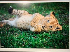 -罗红摄影艺术馆