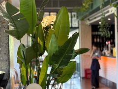 -Laures·月桂西班牙碳烤餐厅(十尚坊店)