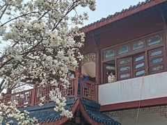 -堤角公园