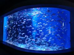 -成都浩海立方海洋公园