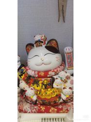 -洗脸猫·洗脸吧