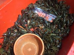 -517烧烤·龙虾·海鲜大排档(万象都荟店)