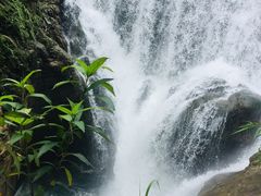 -华蓥山天意谷景区