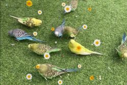 -萌宠亲子动物乐园(槐房万达店)