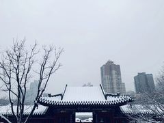 -迎泽公园