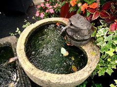 -西郊宾馆·1921餐厅