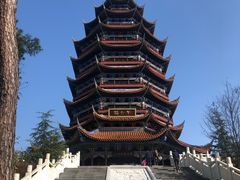 -铁山坪森林公园