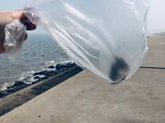 -东疆建设开发纪念公园