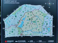 -莲花山公园