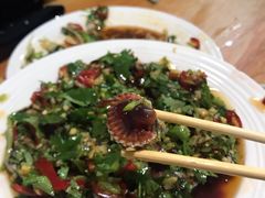 腌血蛤-圆蛋酒料•生腌(开元路店)