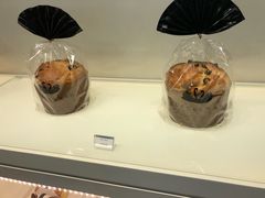 -BLACKSWAN黑天鹅(环球店)