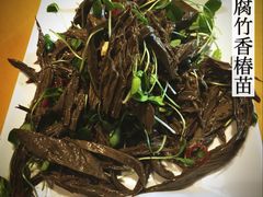 黑腐竹香椿苗-素虎小呆鸟(西二旗店)