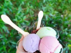 三色红豆雪糕-成裕雪糕店(士多店)