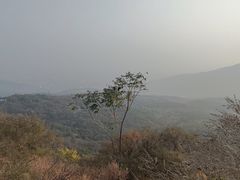 -北京西山国家森林公园