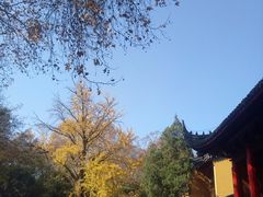 -灵谷景区