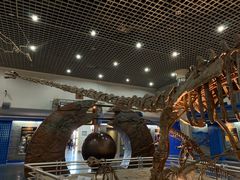 -国家自然博物馆