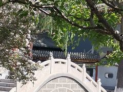 -碑林公园