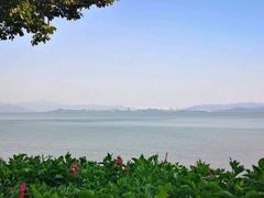 -深圳湾公园(南山区)
