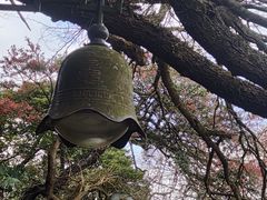 -普陀山慧济禅寺