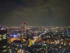 -东京都厅舍