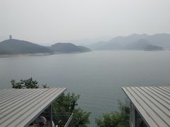 -望湖烤鱼