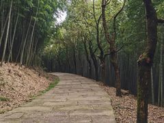 -达蓬山旅游度假区
