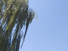 -石家庄极地海洋世界