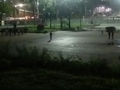 -深圳市体育中心体育馆主馆