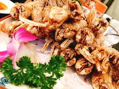 -大锅强·蒸海鲜青岛菜(吾悦广场店)