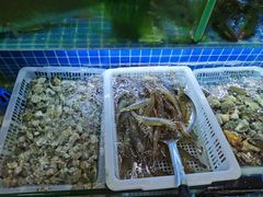 -富临港·蒸汽海鲜·手抓海鲜·炒菜(栈桥店)