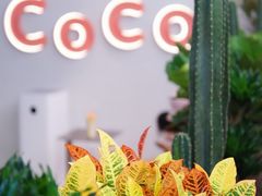 -CoCo都可(中集店)