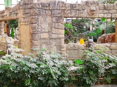 -郑州银基黄帝宫御温泉