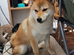 -About Bistro關於·泰式家庭料理