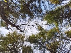 -白草畔自然风景区