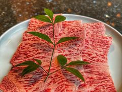 -然锅料理