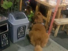-木屋烧烤(惠阳华润小径湾店)