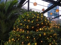 -深圳温德姆至尊酒店·大堂吧·户外花园