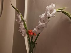 -PARFUM FLORAL花境法餐(南京首店)