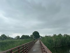 -西京湾花海
