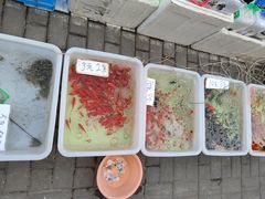 -本溪路花鸟市场(江浦路1709弄小区店)