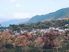 -塔川景区