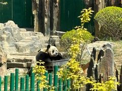 -大连森林动物园