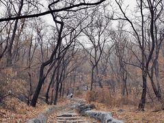 -阳台山自然风景区
