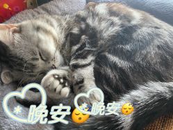 -时尚码头