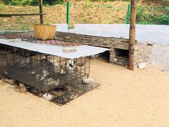 -西部长青自然儿童乐园